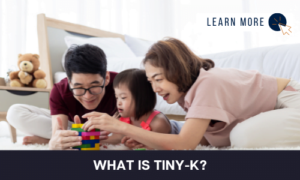 What is Tiny-K?